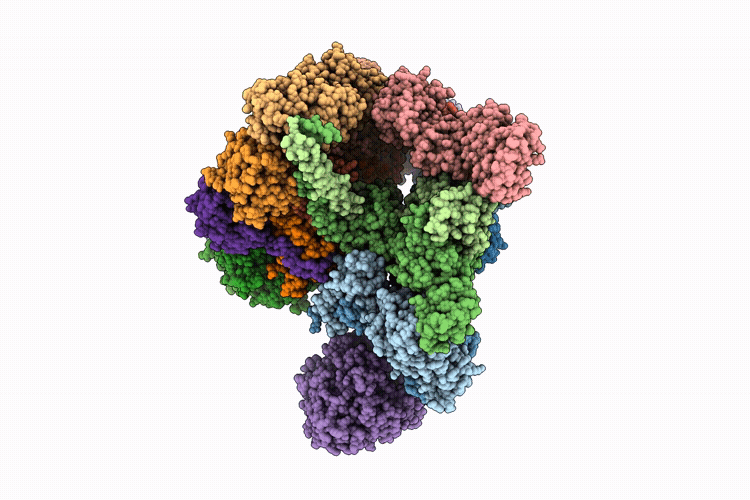 12BM image