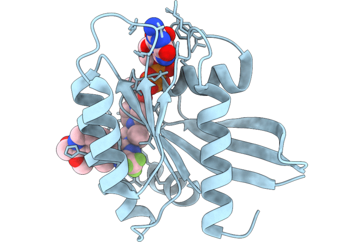 12LC image