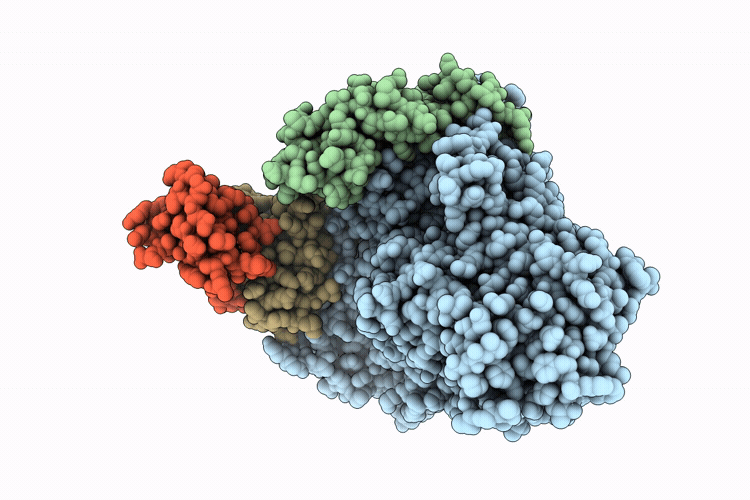 12SN image