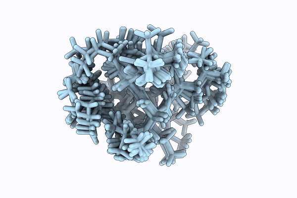 12UI image