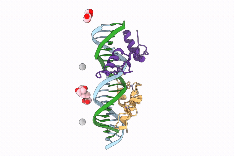 12UQ image