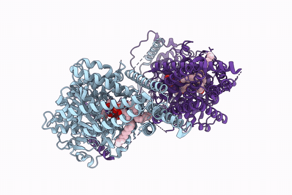 12XH image