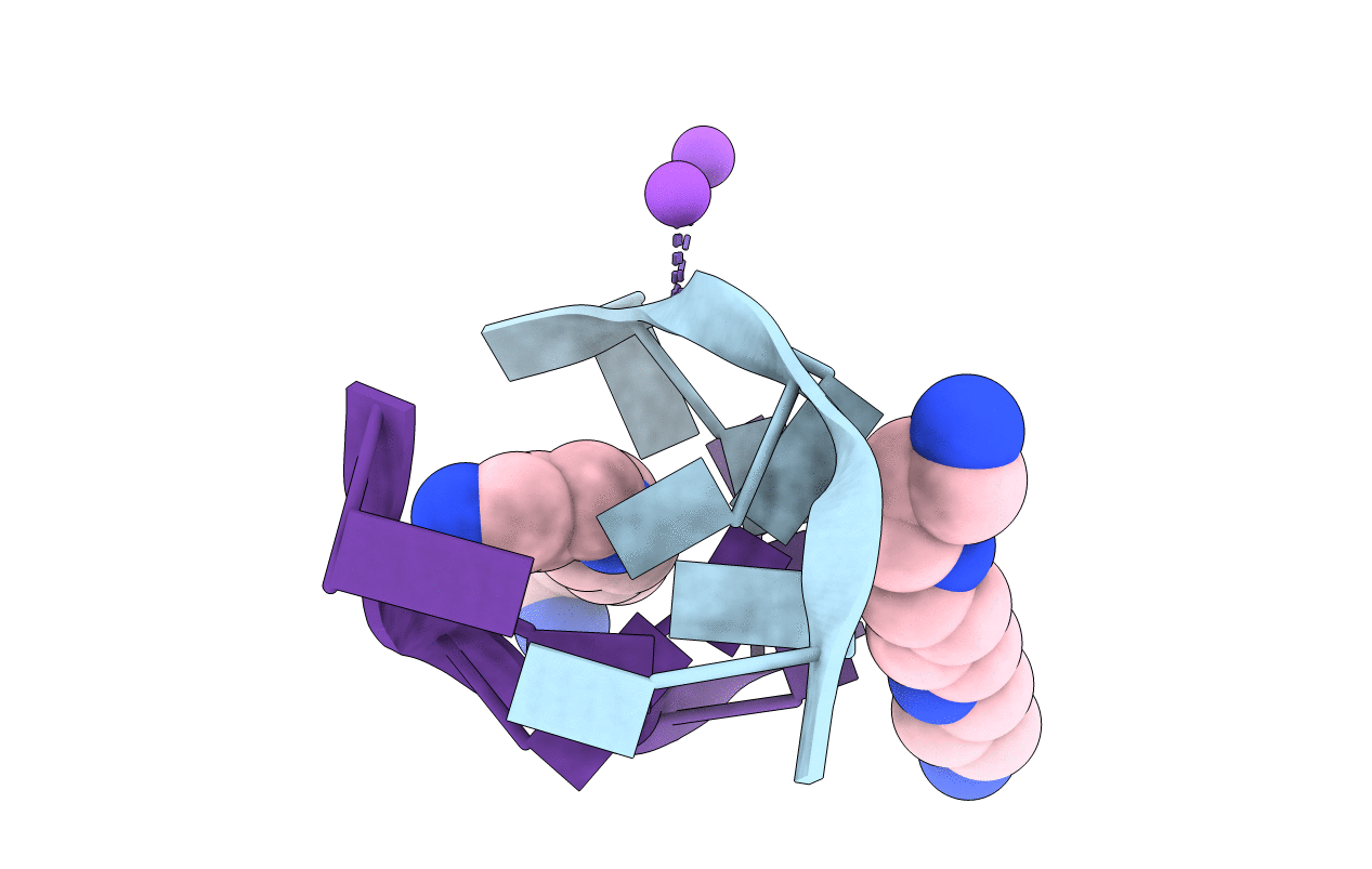 131D image