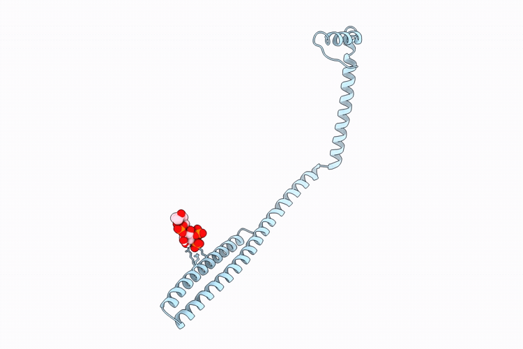 13GM image