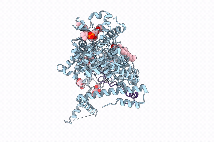13IB image