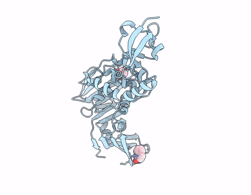 13MQ image