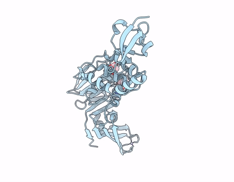 13MS image