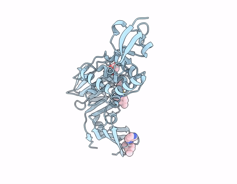 13MZ image
