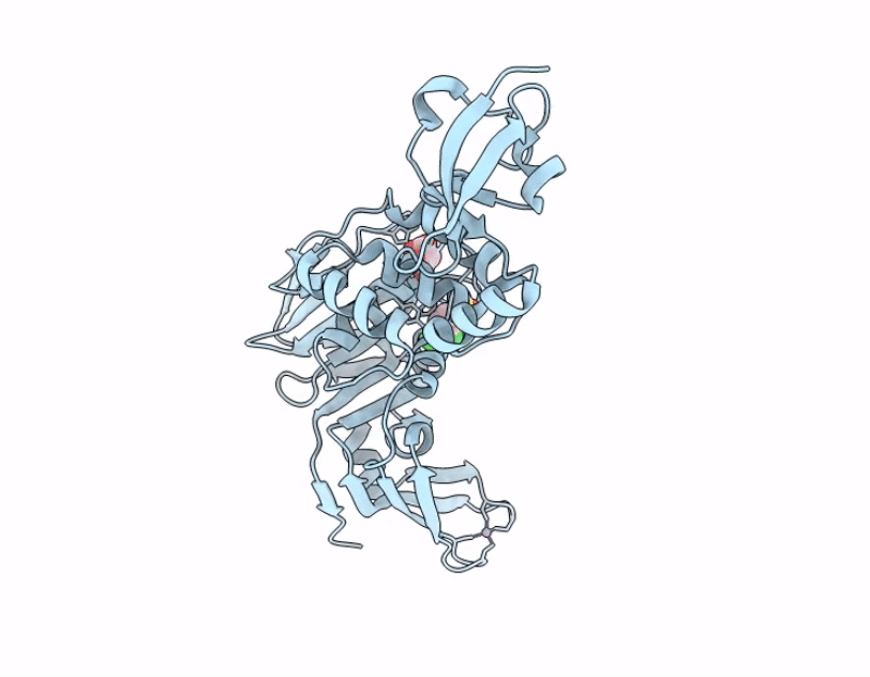 13NK image