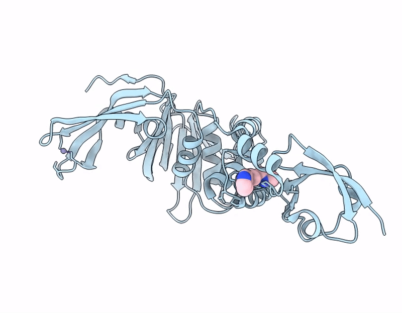 13PP image