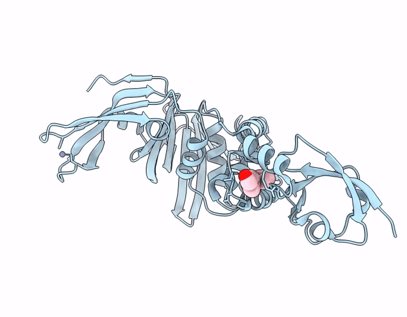 13PQ image