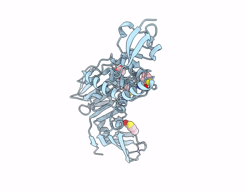 13QD image