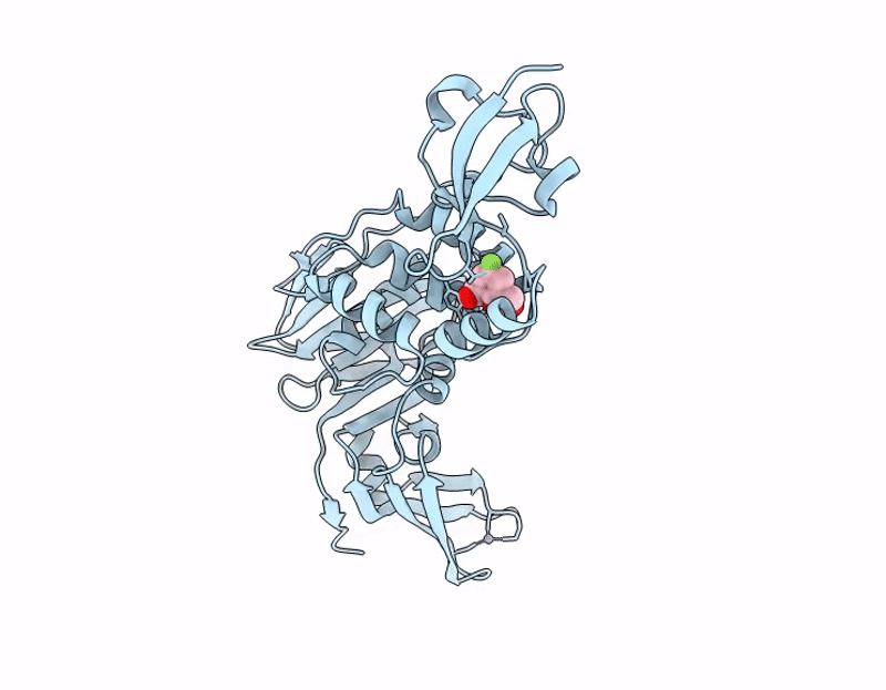 13QN image