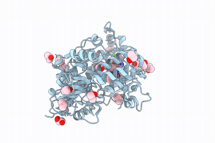13XQ image