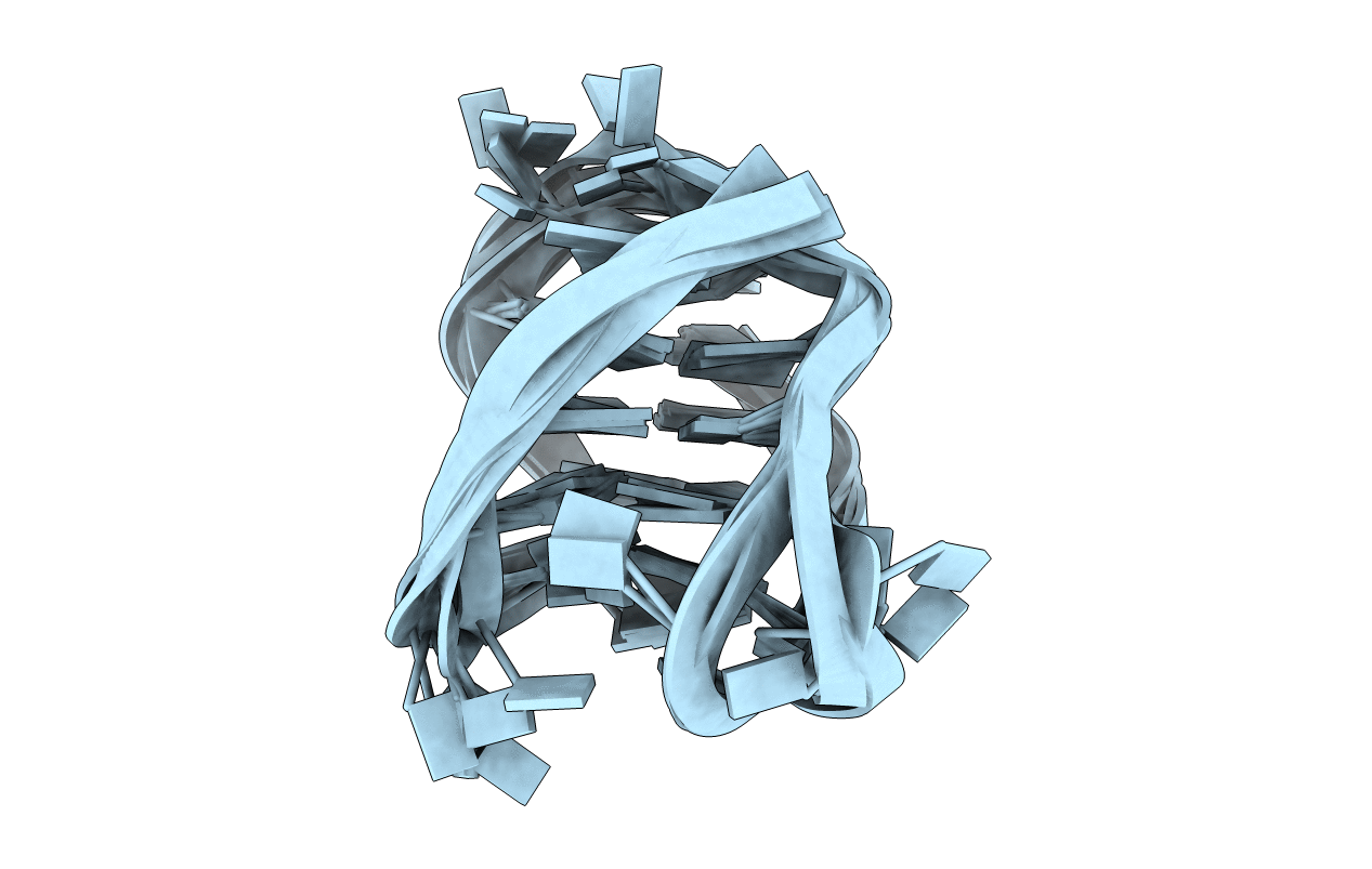 143D image