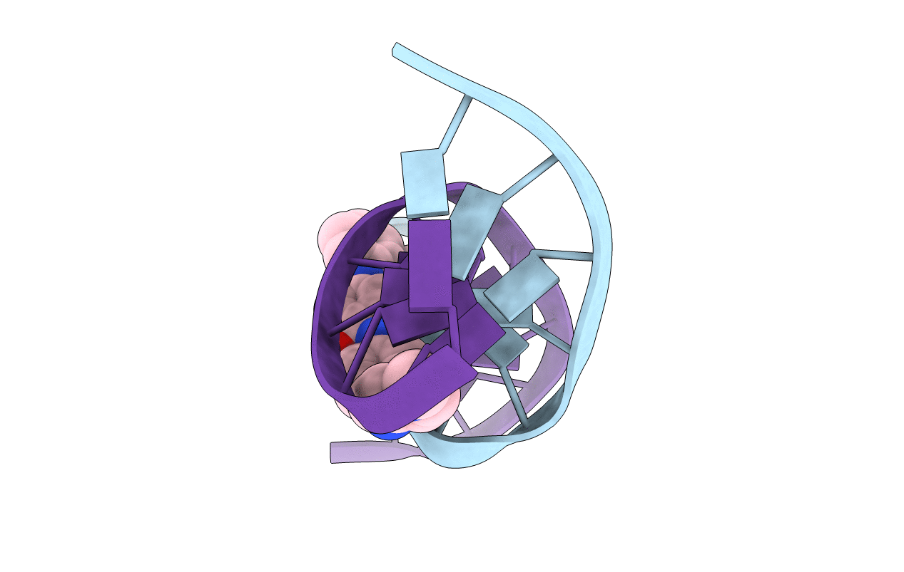 144D image