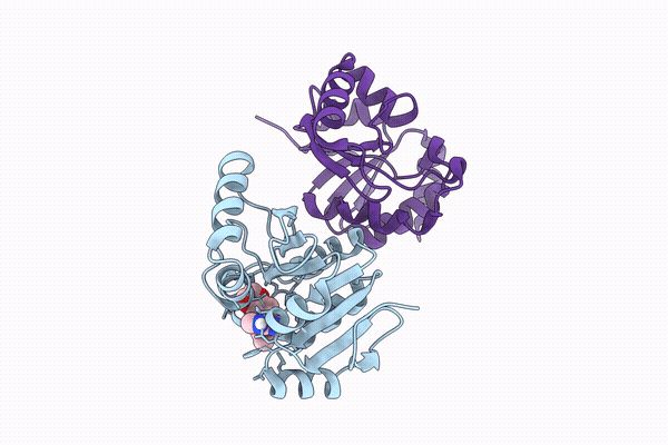 14AB image