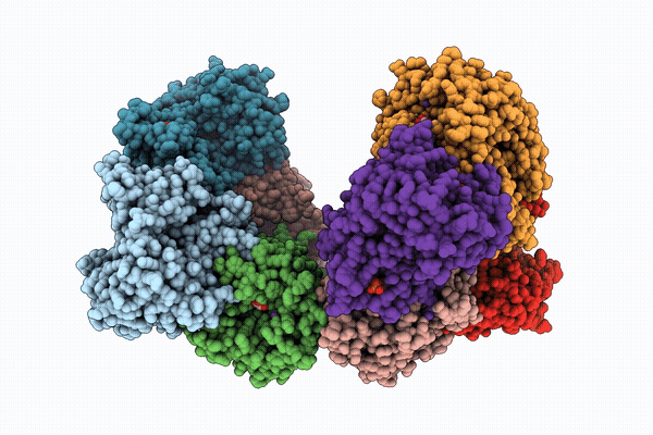 14CS image