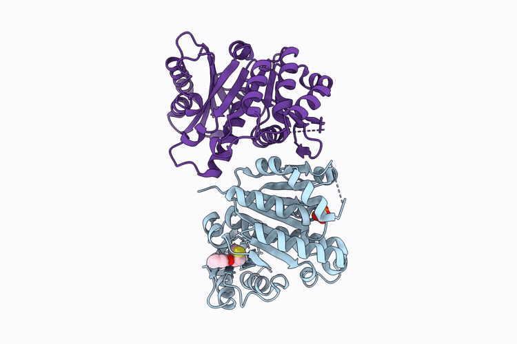 14UJ image