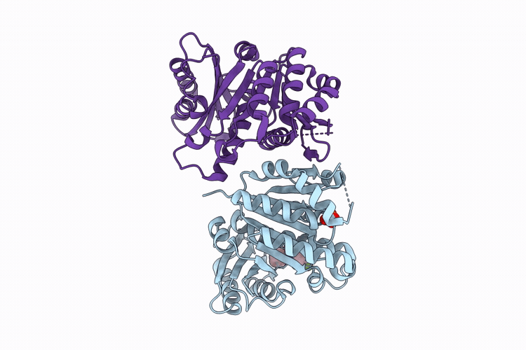 14UL image
