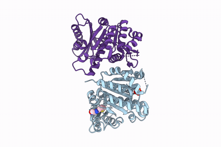 14UQ image