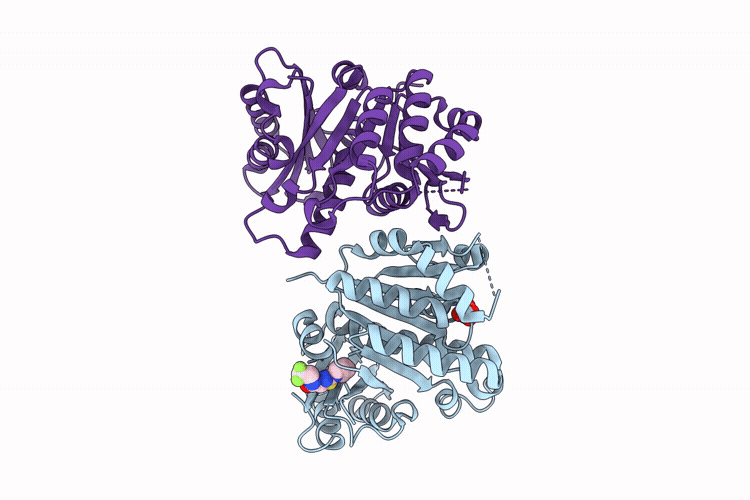 14UV image