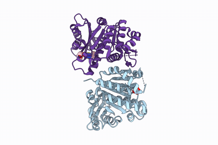 14XH image
