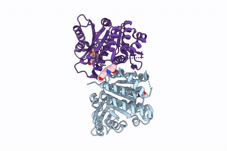 14XT image