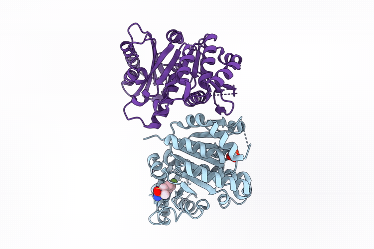 14YF image