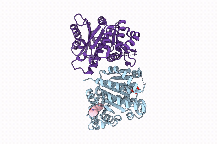 14YM image