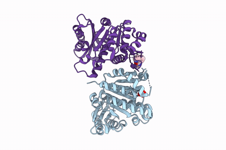 14YP image