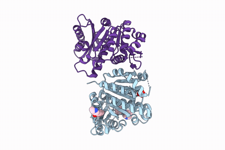 14YV image
