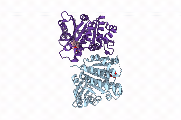 14YX image