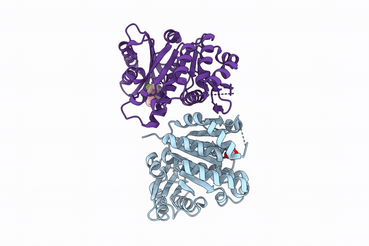 14YY image