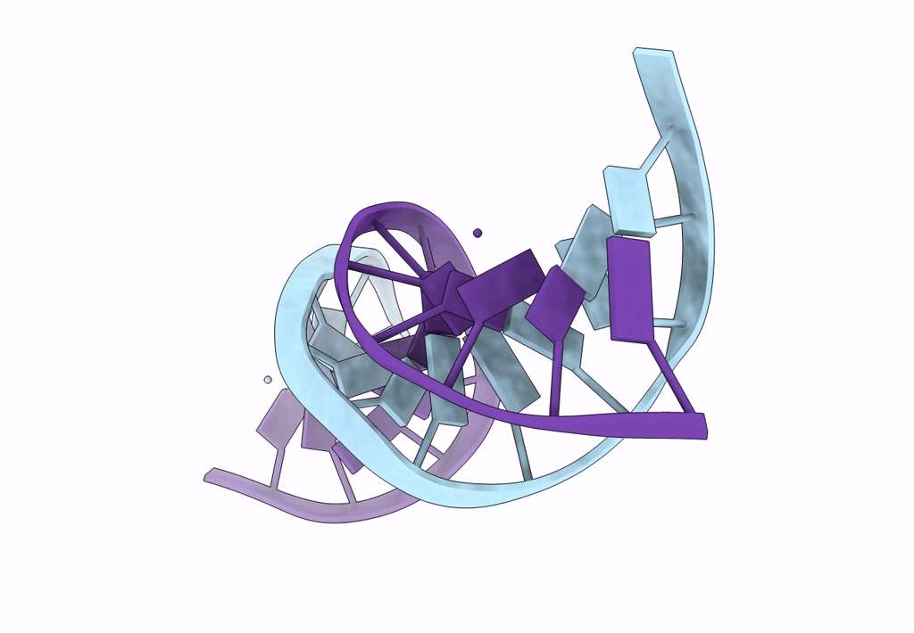 153D image