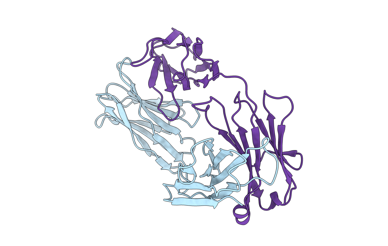 15C8 image