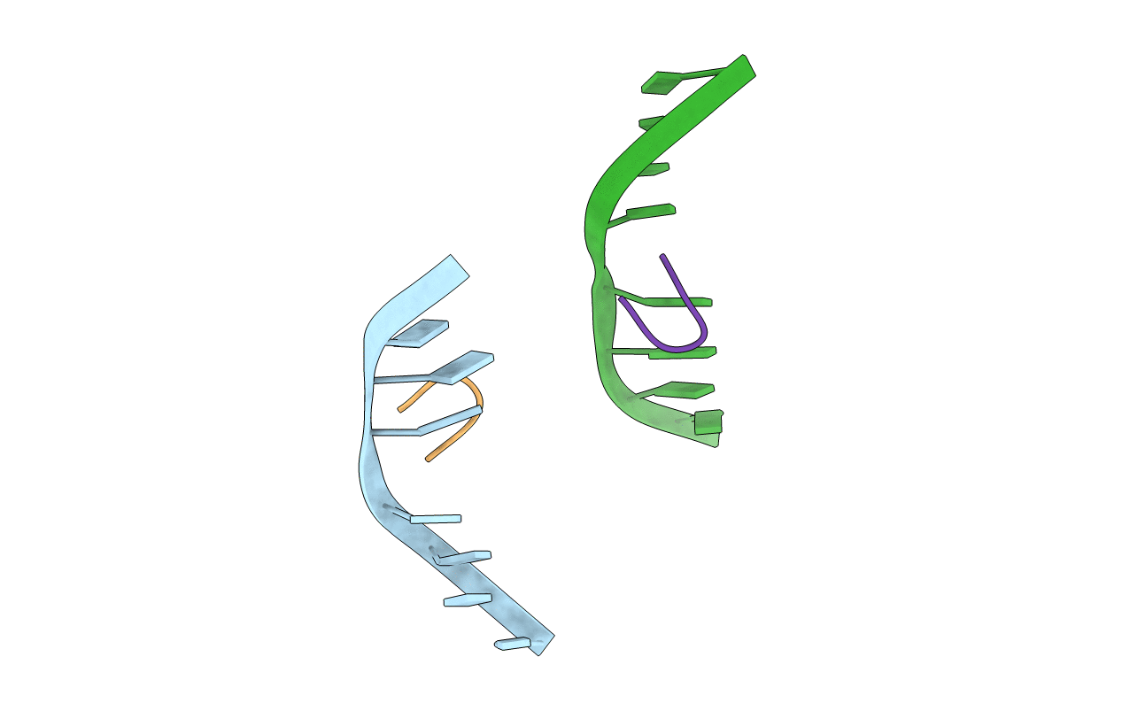 173D image