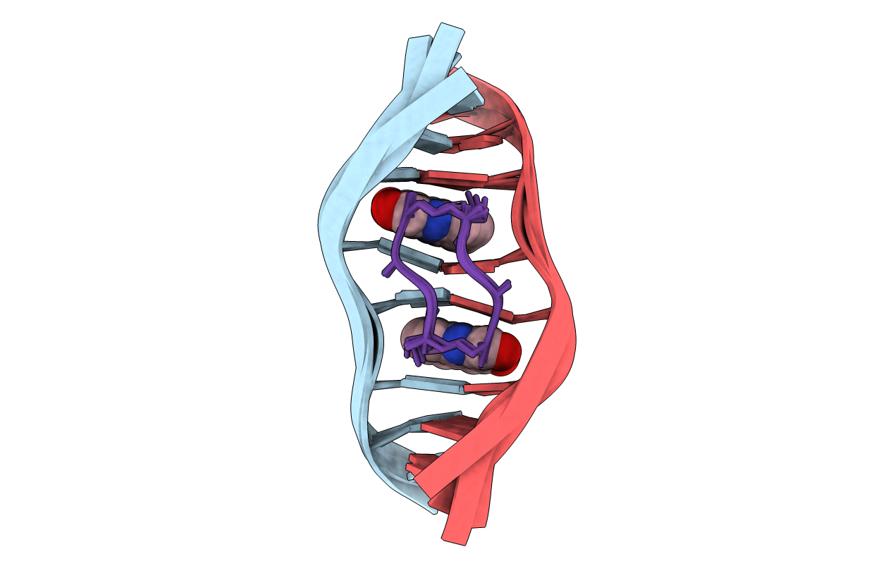 193D image