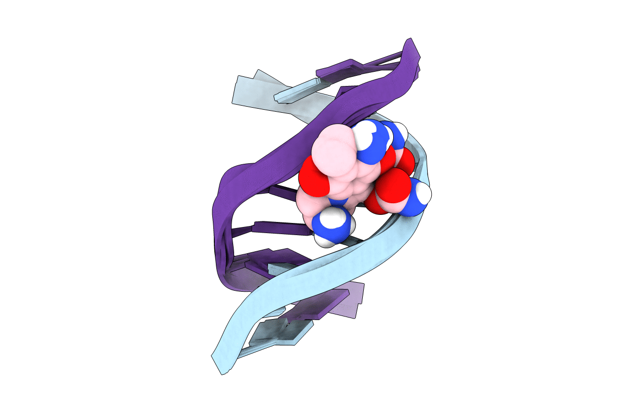 199D image