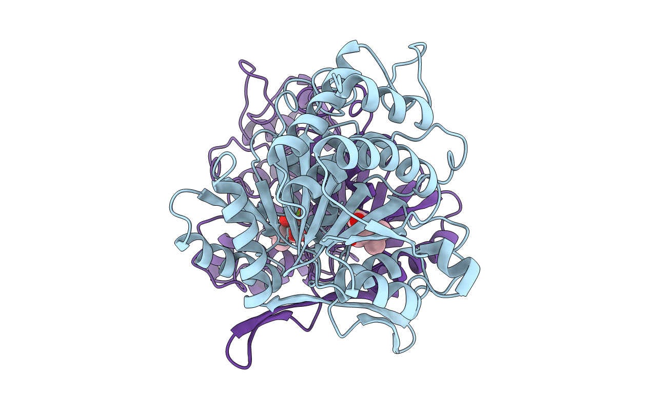 1A05 image