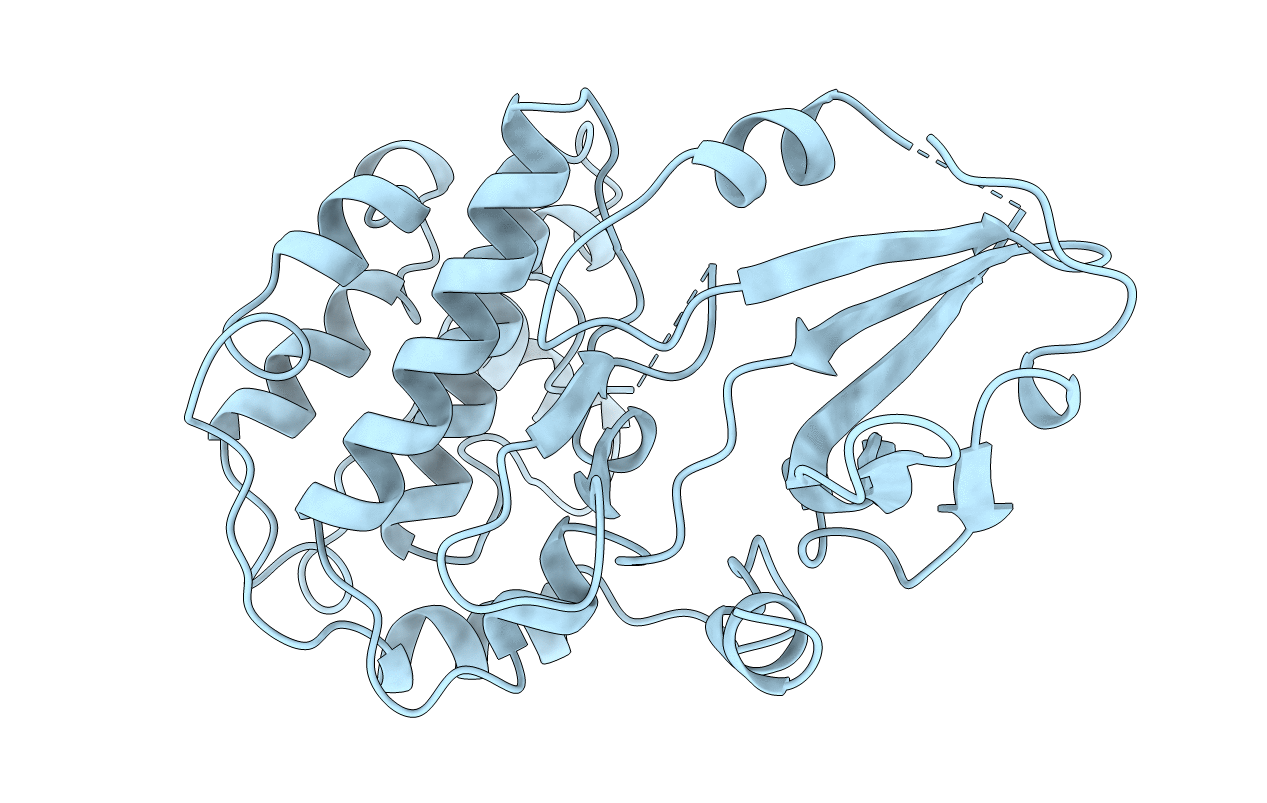 1A06 image