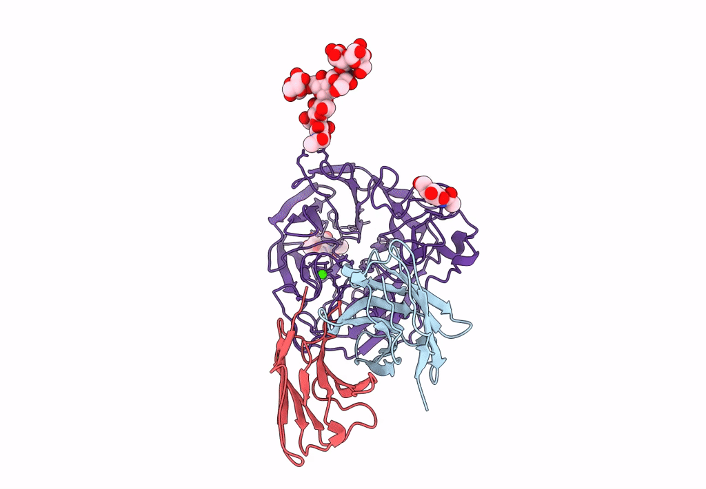 1A14 image