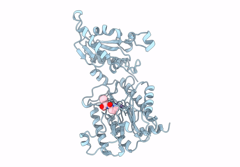1A16 image