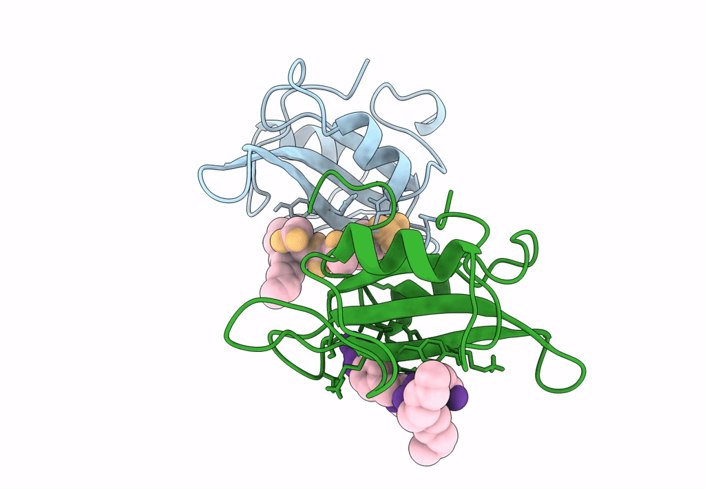 1A1B image