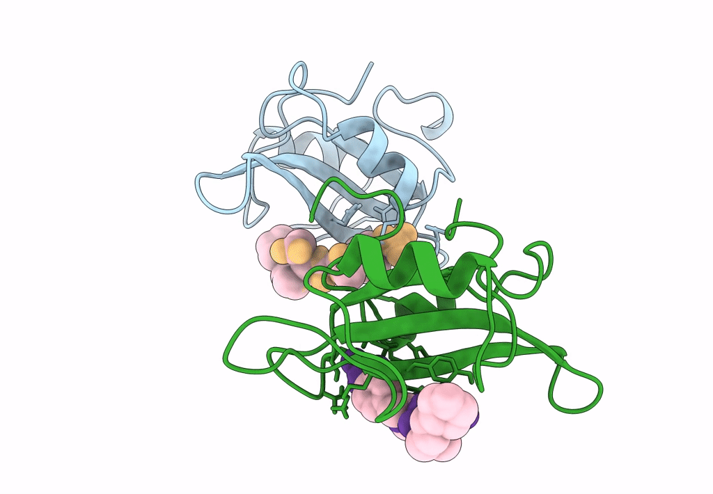 1A1C image