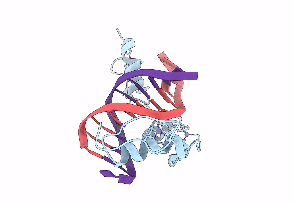 1A1G image