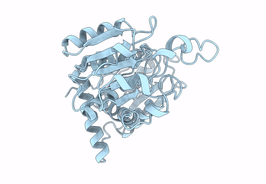 1A1S image