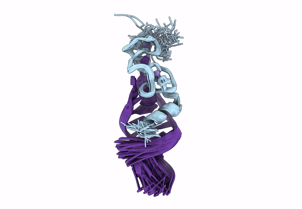 1A1T image