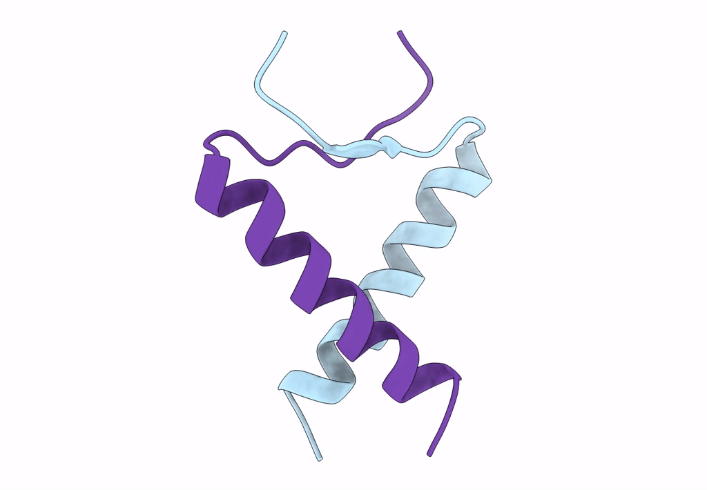 1A1U image