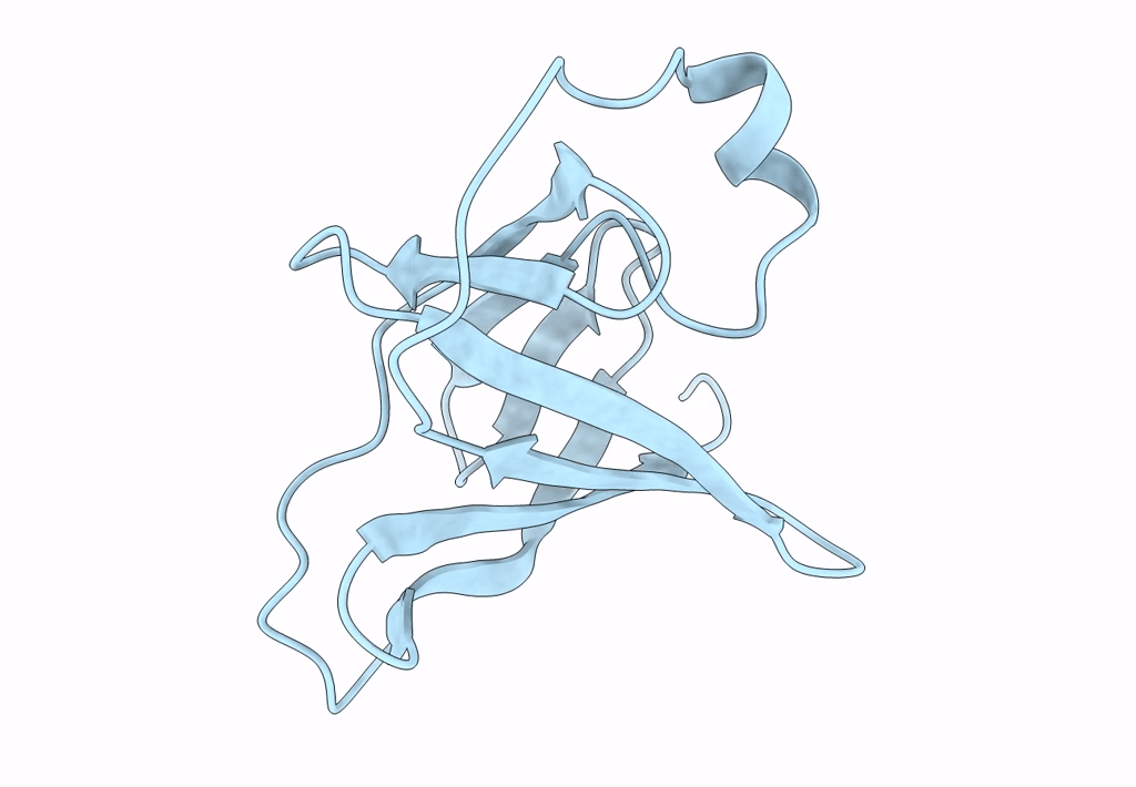1A1X image
